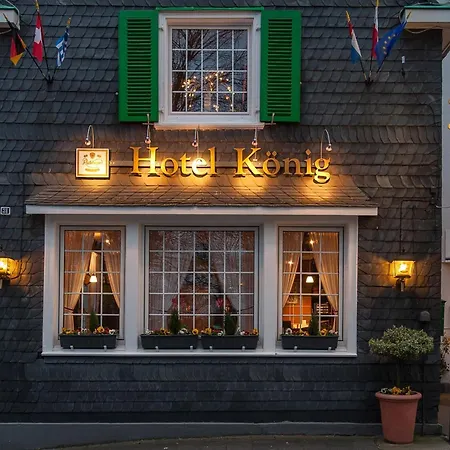 克尼格酒店 酒店